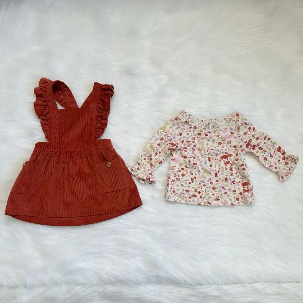0-3 Months Baby Girl Fall/Spring Clothes LOT